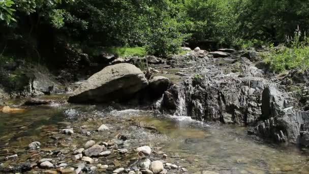 Steiniger Gebirgsbach — Stockvideo