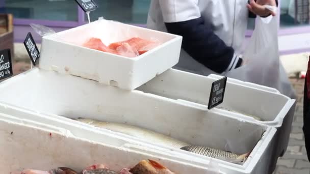 Marché aux poissons traditionnel — Video