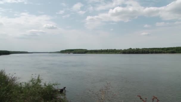 Zeer brede rivier Panorama — Stockvideo