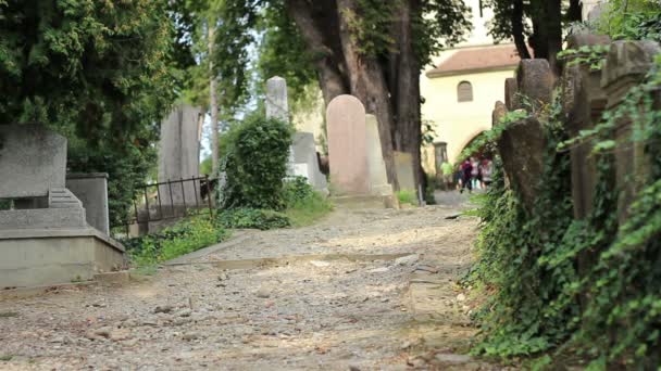 Visitantes del Cementerio — Vídeo de stock