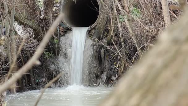 Tuyau de décharge des déchets rivière — Video