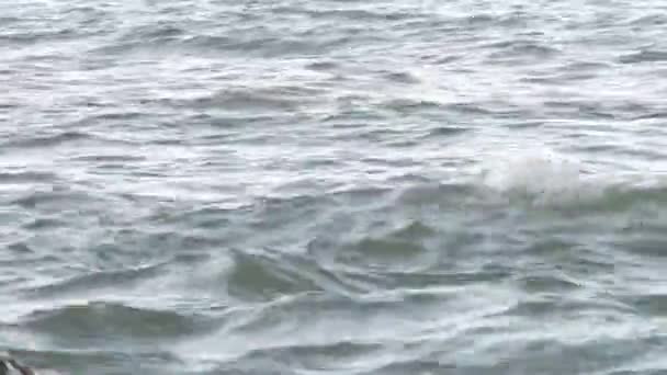 Vagues sur le rivage rocheux — Video