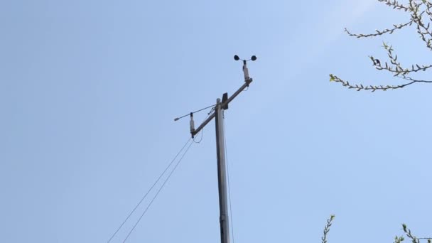 Κατεύθυνση ανέμου Meteo εργαλείο — Αρχείο Βίντεο