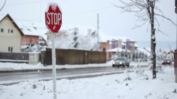 Segnale stradale invernale — Video Stock