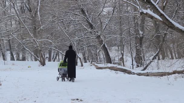 Frau mit Kinderwagen auf Schnee — Stockvideo