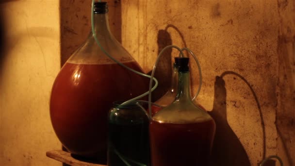 Fermentación del vino — Vídeos de Stock