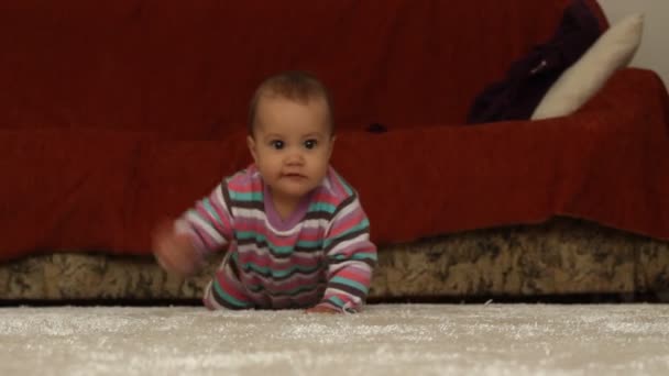 Baby krabbelt auf Teppich — Stockvideo