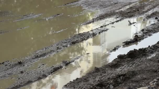 Gran pantano y barro — Vídeo de stock