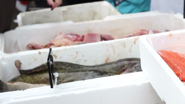 Рыба на продажу — стоковое видео