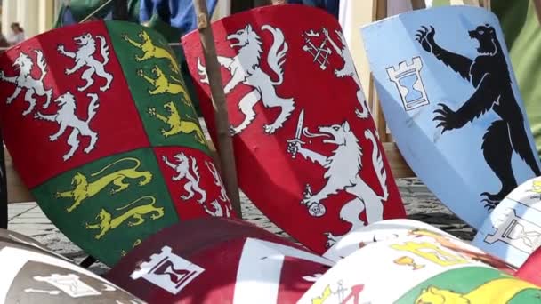 Heraldry Shields — Stock Video