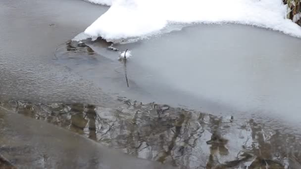 얼음 물 흐름 — 비디오