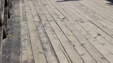 Ahşap köprü üzerinde yürüyen Shaddow