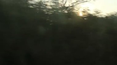 Demiryolu ağaçlar güneş görünümü