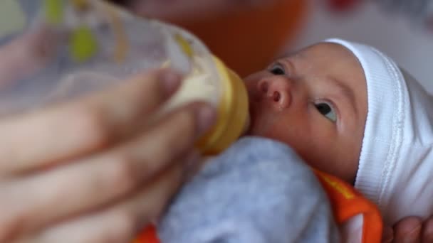 Küçük bebek içme sütü — Stok video
