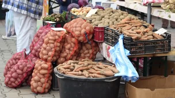 Einheimisches Bauerngemüse — Stockvideo