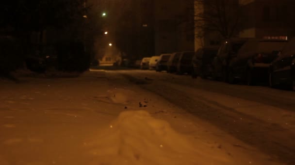 Nacht gesneeuwde Street — Stockvideo