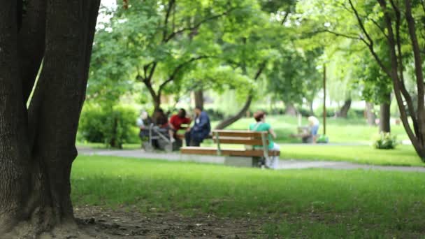 Vista al parque — Vídeos de Stock