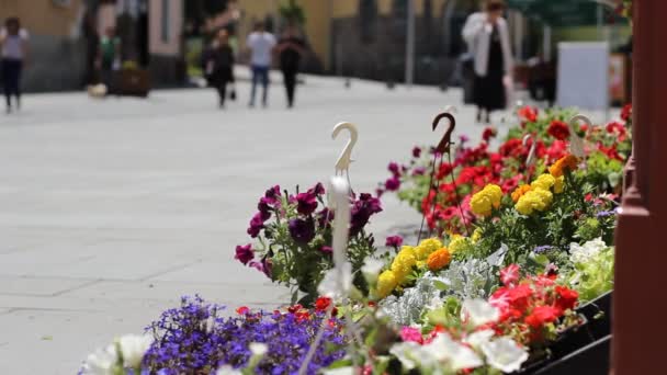 İnsanlar ve çiçek sokak görünümü — Stok video