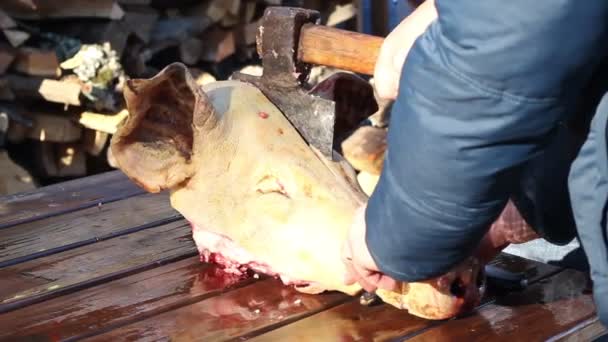 Schweinefleisch schlachten — Stockvideo