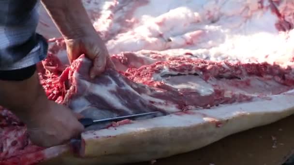 Fatiando grande carne crua — Vídeo de Stock