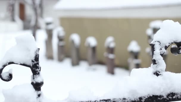 Snowy Cemetery — Stock Video