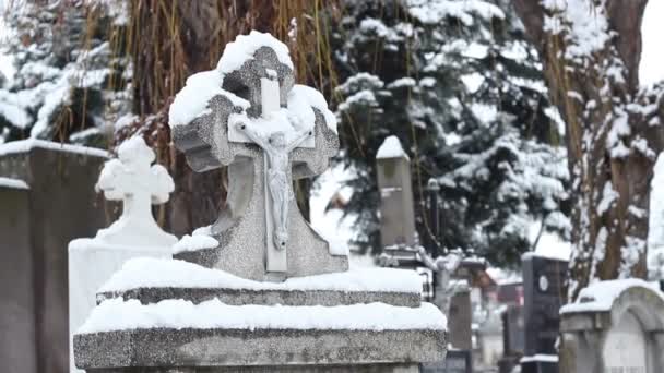 Tombstone nevado — Vídeo de Stock