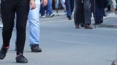 İnsan Ayakları ve Bacakları