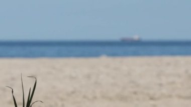 Desert Island'dan Görülen Gemi