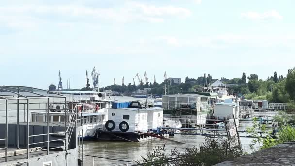 Vessels Moored on the Danube — Stock Video