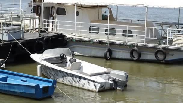 Barco motorizado en río — Vídeos de Stock