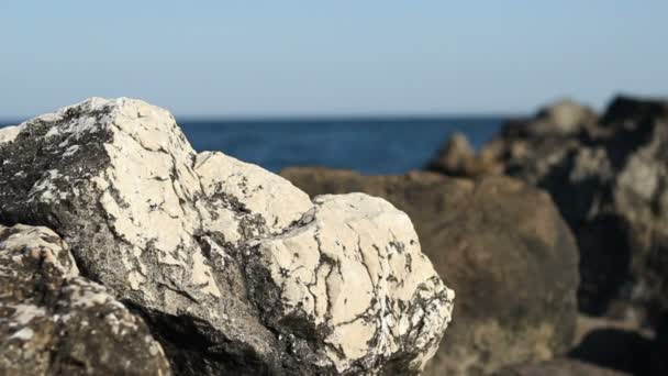 Rocas marinas por la tarde — Vídeo de stock