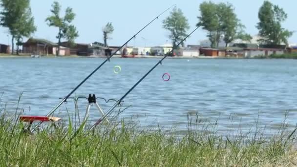 Fisherman Waiting for Catch — Stock Video