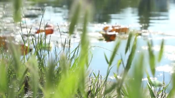 Umweltverschmutzung durch Plastikgegenstände — Stockvideo