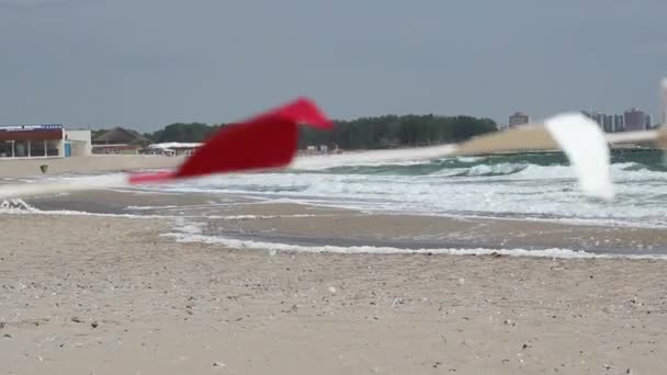 Krachtige wind op het strand — Stockvideo