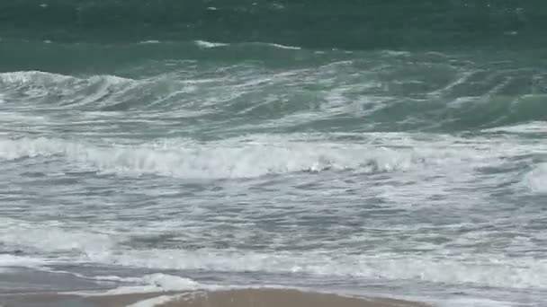 Grandes vagues vertes sur le rivage — Video