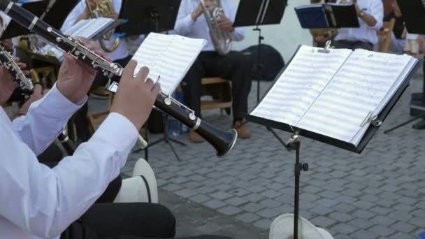 Clarinete músico realiza con banda — Vídeo de stock