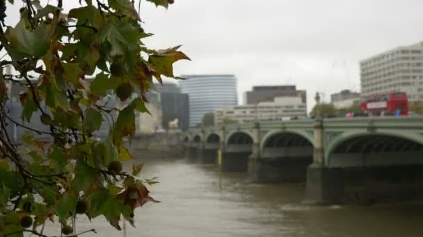 Londyn Westminster Bridge — Wideo stockowe