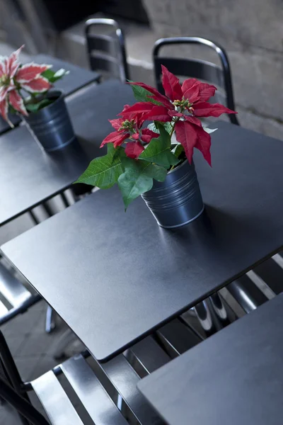 Mesa puesta en una terraza — Foto de Stock