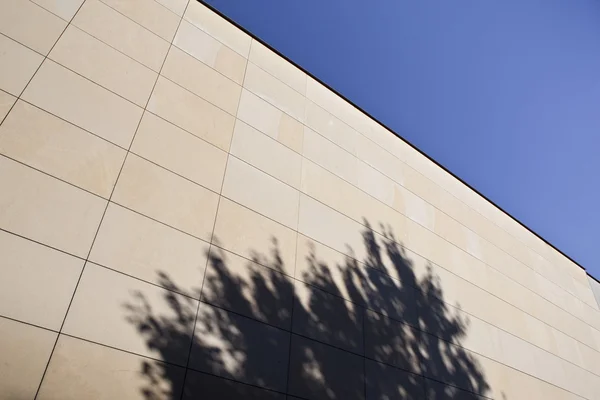 Sombra Árbol Una Pared Ladrillo Ciudad — Foto de Stock