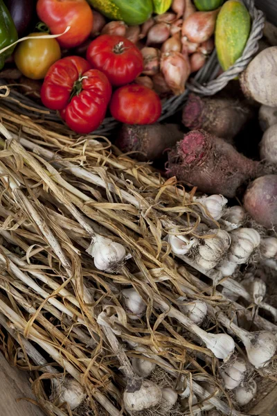 Garlic and vegetable — Stock Photo, Image