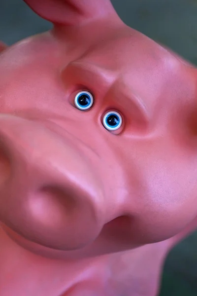 Head of a plastic pig — Stock Photo, Image