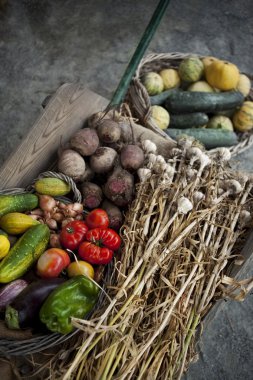 Bir gruptaki yaz sebze