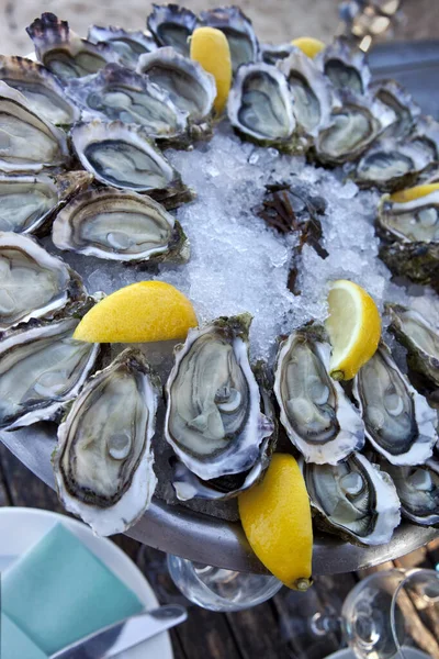 Placa Ostras Bistró Francés Comida Mar —  Fotos de Stock