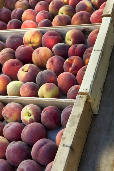 Gros Plan Des Plateaux Pêches Dans Marché Rural — Photo