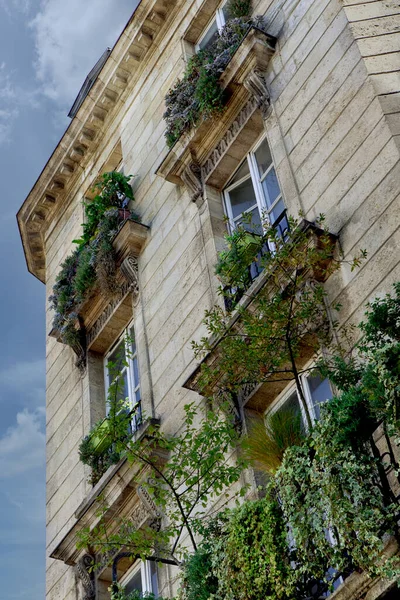 Green Facade Stoned Building Bordeaux France — Stock Photo, Image