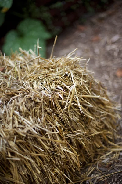 干し草のベール — ストック写真