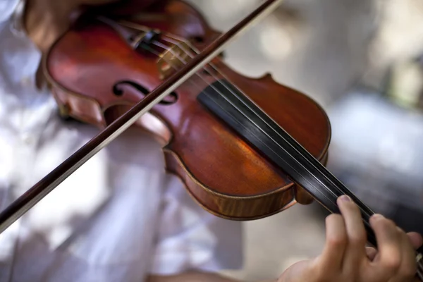 Violino — Fotografia de Stock