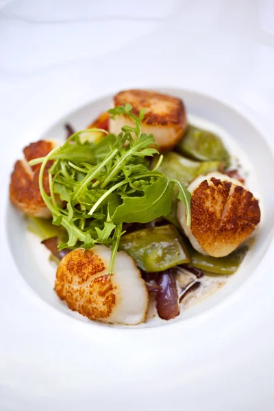 Saint-Jacques scallops — Stock Photo, Image