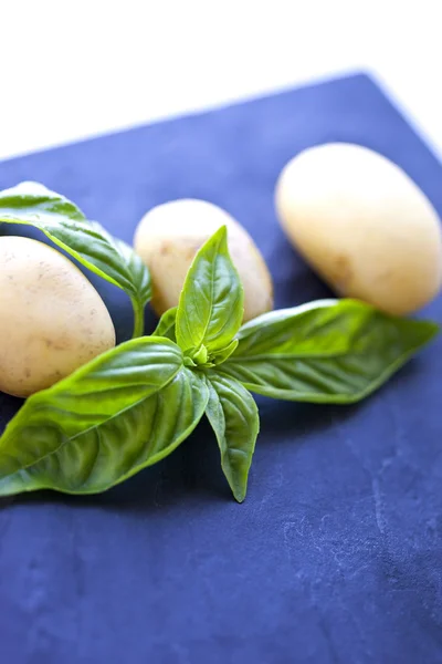 Patatas y albahaca —  Fotos de Stock