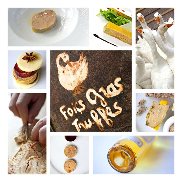 Foie gras francese — Foto Stock